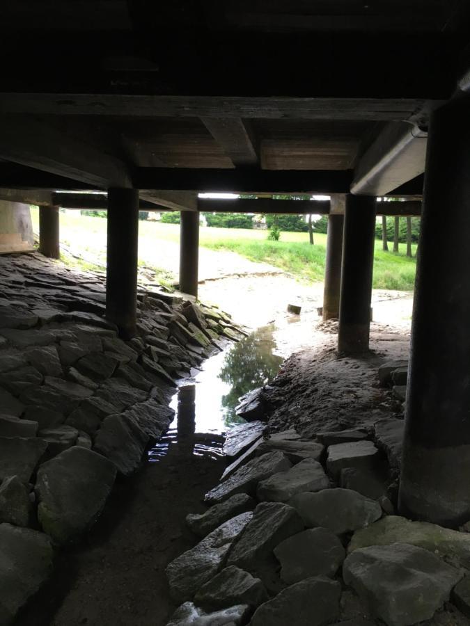 Agroturystyka "Pod Bluszczem" Krasnobród Exterior foto