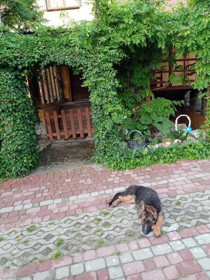 Agroturystyka "Pod Bluszczem" Krasnobród Exterior foto